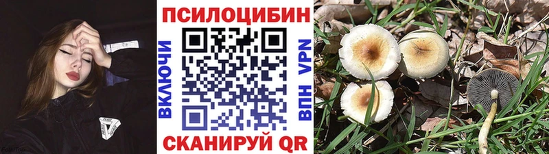 Купить  Верхняя Салда  Псилоцибиновые грибы мицелий 