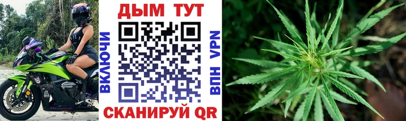 Купить где  Верхняя Салда  Марихуана Ganja 